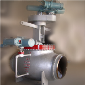 Globe Valve